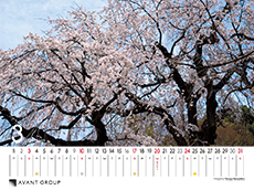 撮影地：坂戸市（埼玉県）