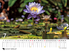 撮影地：神戸市（兵庫県）