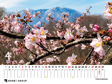 撮影地：飯綱町（長野県）