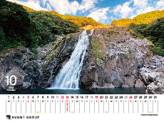 撮影地：屋久島（鹿児島県）