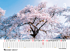 撮影地:安中市(群馬県 )