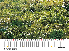撮影地:志賀高原(長野県)