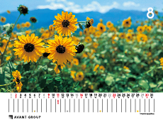 撮影地:北杜市(山梨県 )