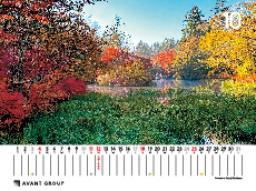 撮影地:雲場池(長野県)